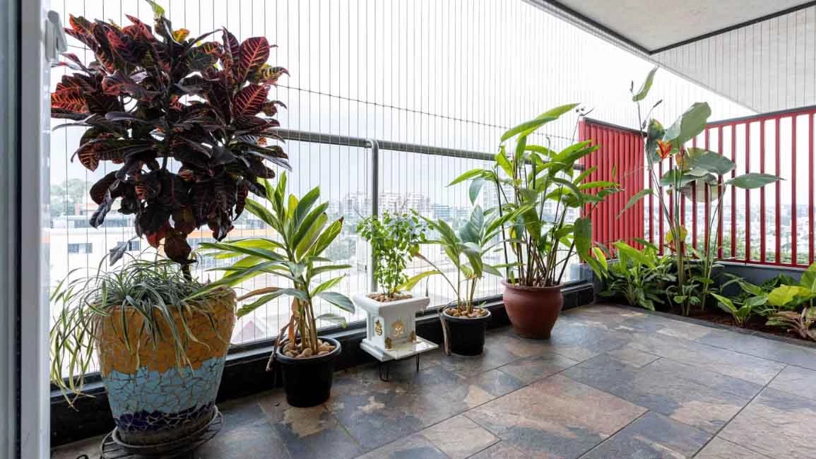 Bagaimana Langkah Ringan Membuat Hidup Lebih Nyaman